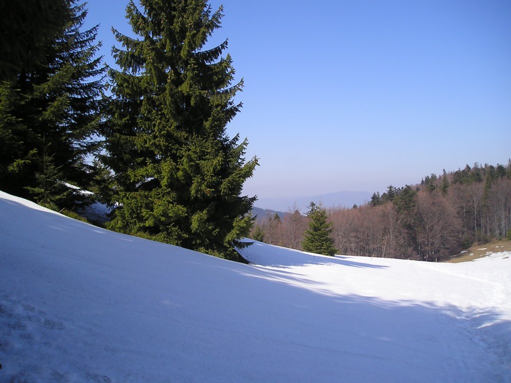 p1010020.jpg