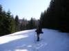 p1010024_small.jpg