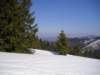 p1010029_small.jpg