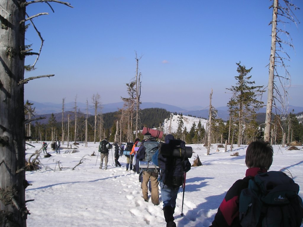 p1010038.jpg