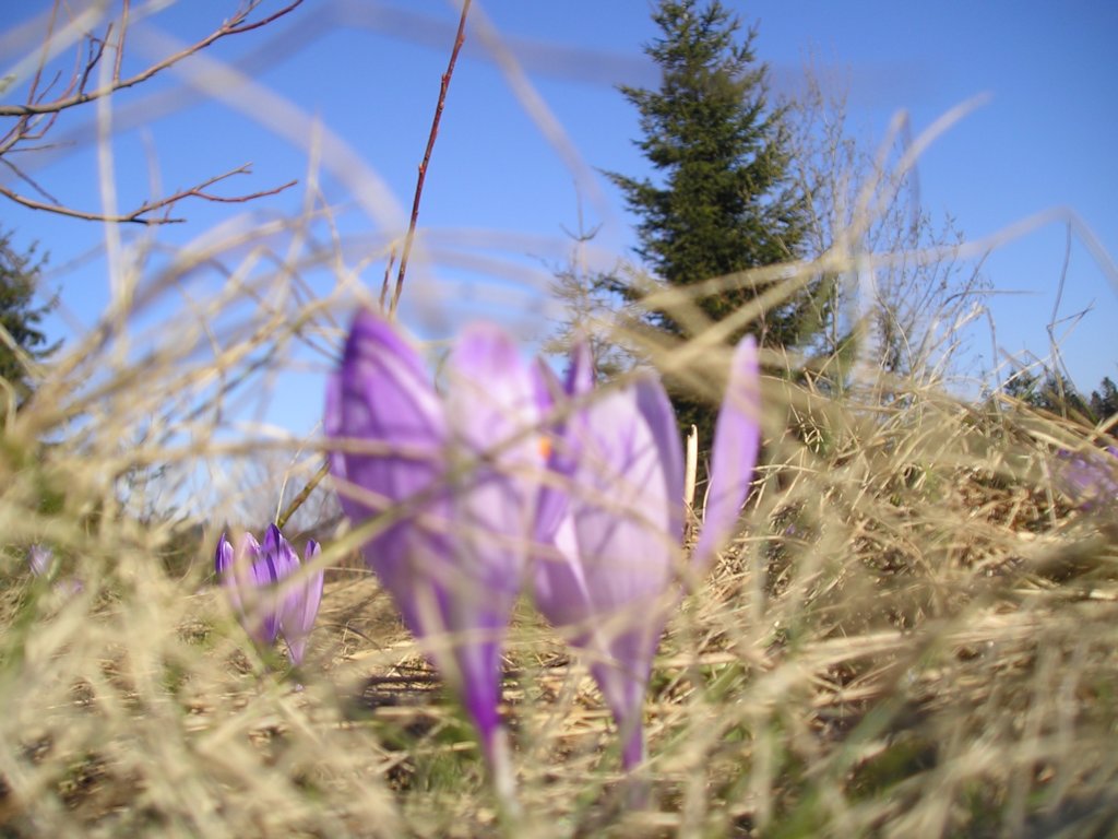 p1010058.jpg