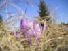 p1010058_small.jpg