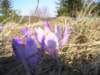 p1010059_small.jpg