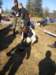 p1010063_small.jpg