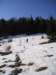 p1010064_small.jpg