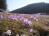 p1010074_small.jpg